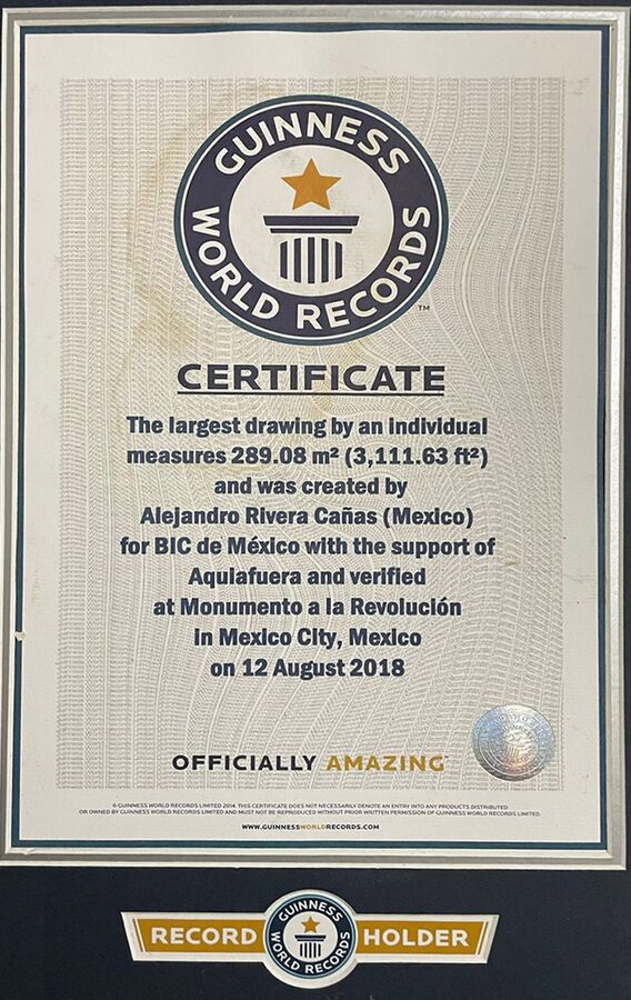 Guinness World Records certificate for the largest drawing